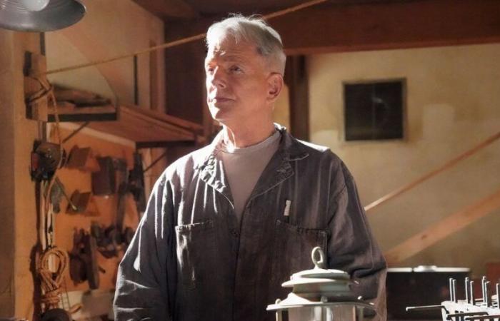 Leroy Gibbs Holds a Disturbing NCIS Record Fans May Have Missed