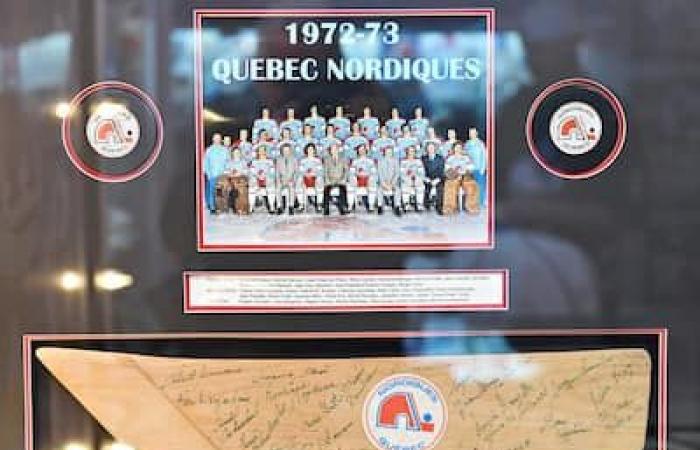 The Nordiques’ most beautiful sporting cave is the work of a former supporter… of the Canadian!