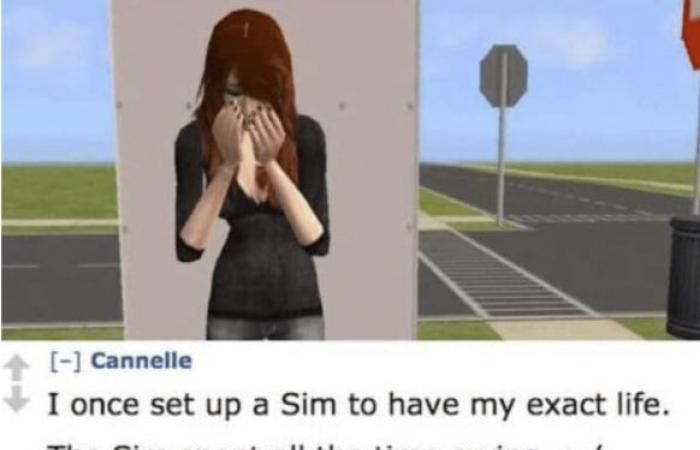 18 situations that all “Sims” addicts know