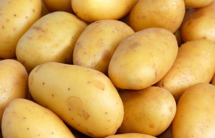 Carrefour, Intermarché, Super U…. Potatoes recalled throughout France