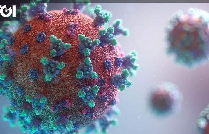 kmenkes says there are no reports of HMPV virus spreading in Indonesia