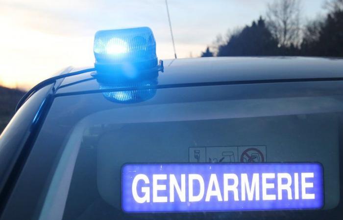 Fatal accident on the RN124: the Gers gendarmerie launches a call for witnesses