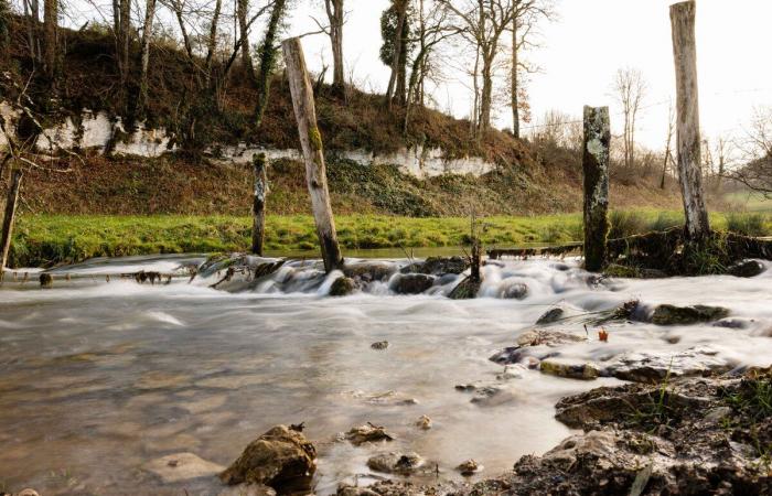 To protect Paris from floods, rural areas sacrifice land