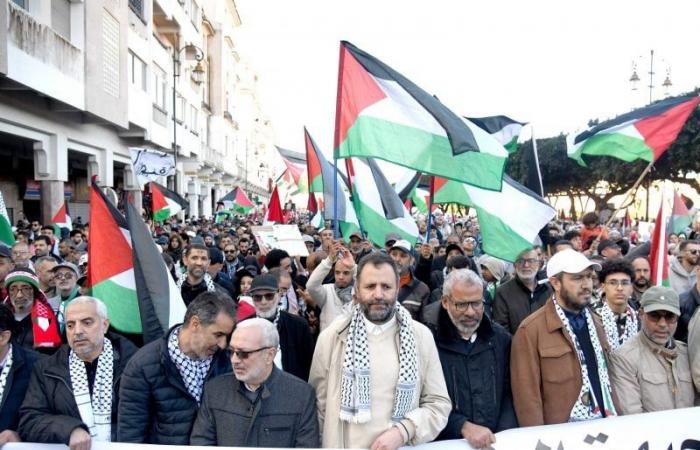 115 protests in one evening against Israeli atrocities in Gaza