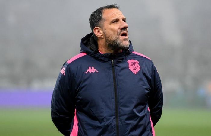 Top 14 – Laurent Labit (Stade français) after the slap received against UBB: “A feeling of shame”