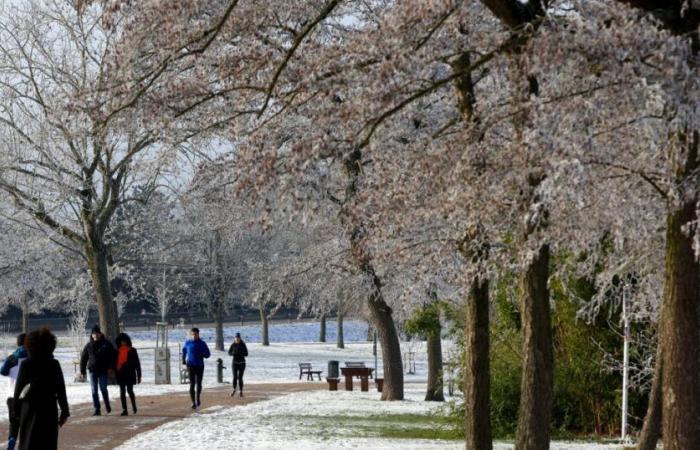 Moselle. Snow and freezing rain expected from early evening