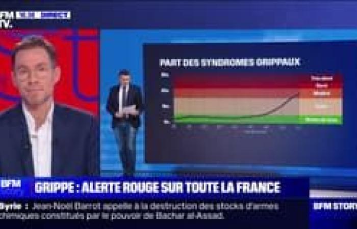 LES ÉCLAIREURS – Flu: indicators on the rise in France