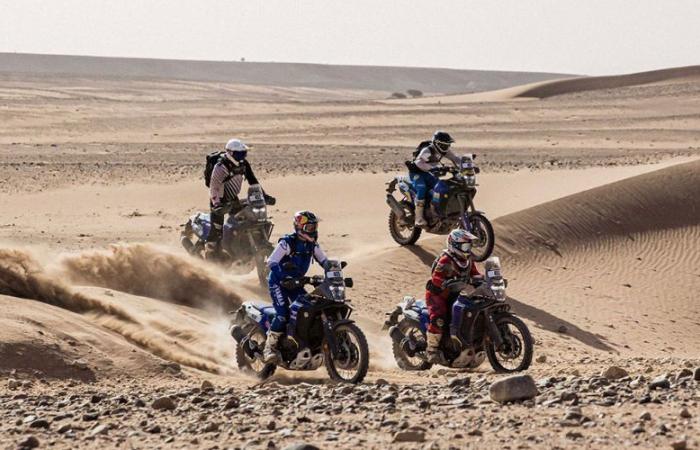 The “Africa Eco Race” Rally stops in Tarfaya