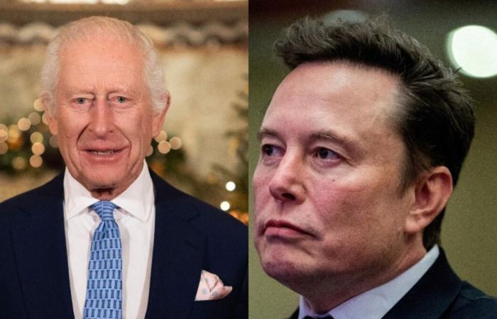 Elon Musk makes 23 posts urging King Charles III to overthrow UK government