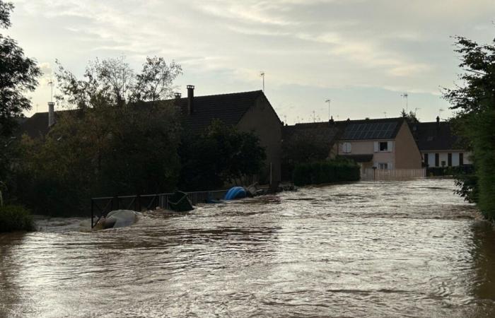 Floods, a Briard at the Paralympic Games… What made the news in 2024 in La Ferté-Gaucher