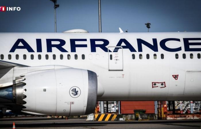 An Air France plane makes an emergency landing in Paris due to a pressurization problem