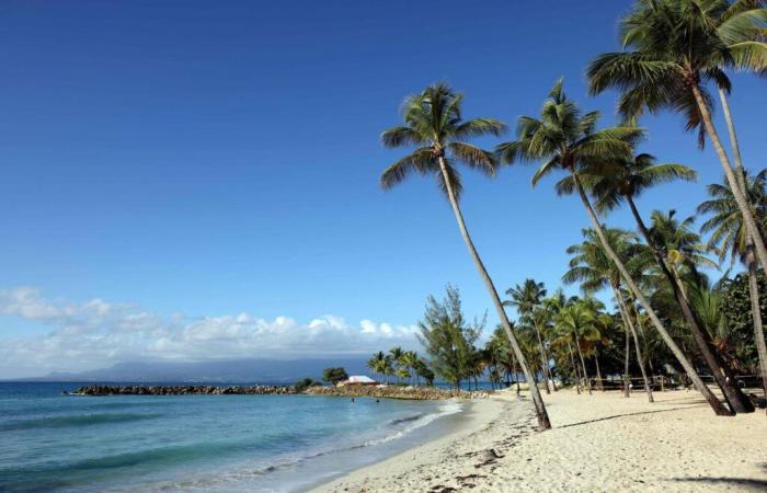 Are postcard beaches doomed to disappear in Guadeloupe?