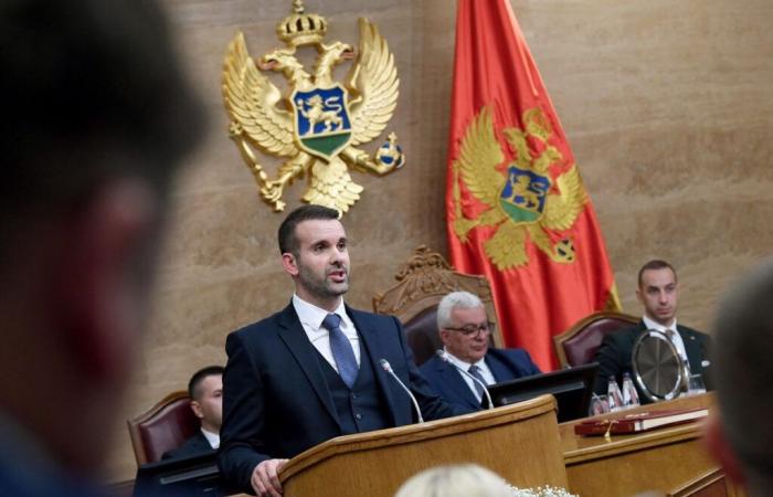 Montenegro: Government announces campaign against illegal weapons