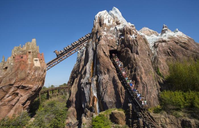 Walt Disney World | Megadose of adrenaline for teenagers