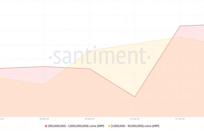 Here are the latest purchases of crypto whales in January