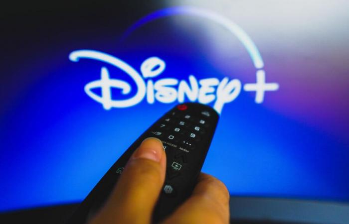 End of the agreement between Disney + and Canal +: why you can still subscribe to the American platform