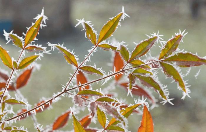 Cold, but not only that: what’s the weather for the first weekend of the year?