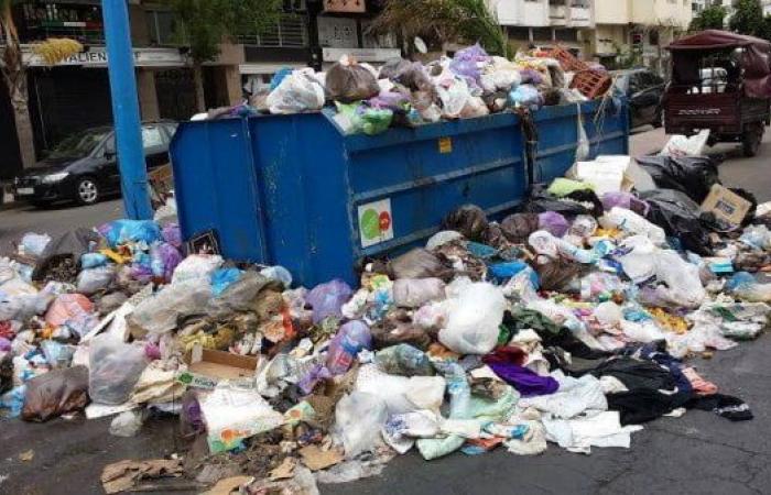 Casablanca declares war on waste with a 100 dirham cleanliness policy – Consonews