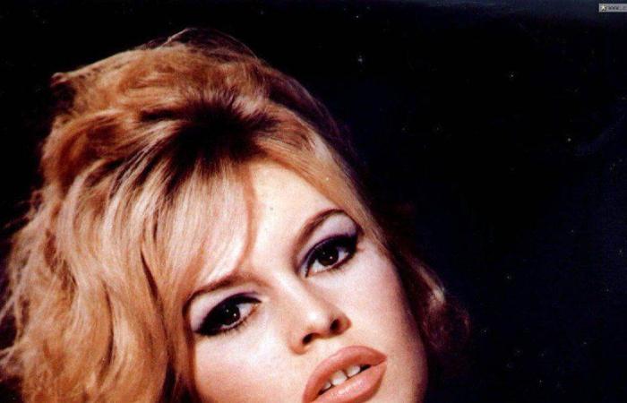 Far from the crowd and the spotlight, the Tarn youth of Brigitte Bardot’s only son