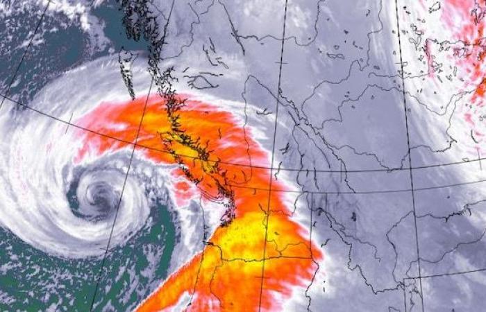 Vancouver experienced its wettest year since the turn of the century