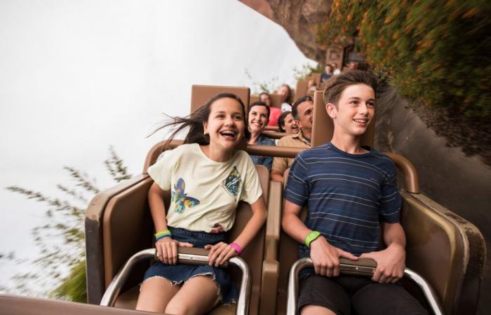 Walt Disney World | Megadose of adrenaline for teenagers