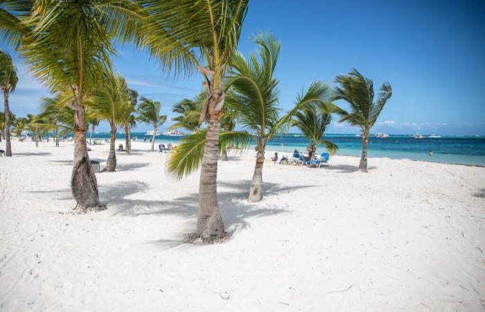 This winter, go to the Caribbean without blowing your budget – Actual Immo