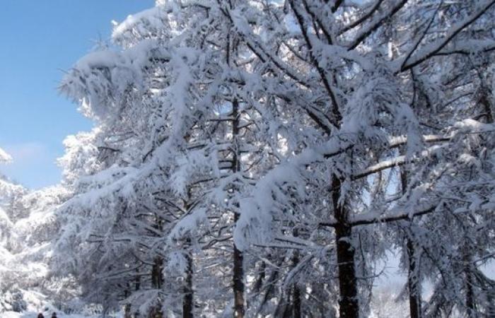 News – Champagne FM – All of Champagne-Ardenne on orange alert for snow and ice