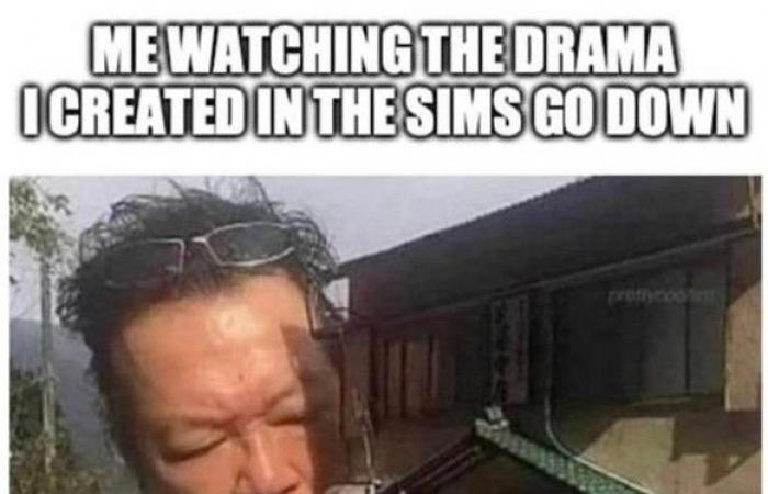 18 situations that all “Sims” addicts know