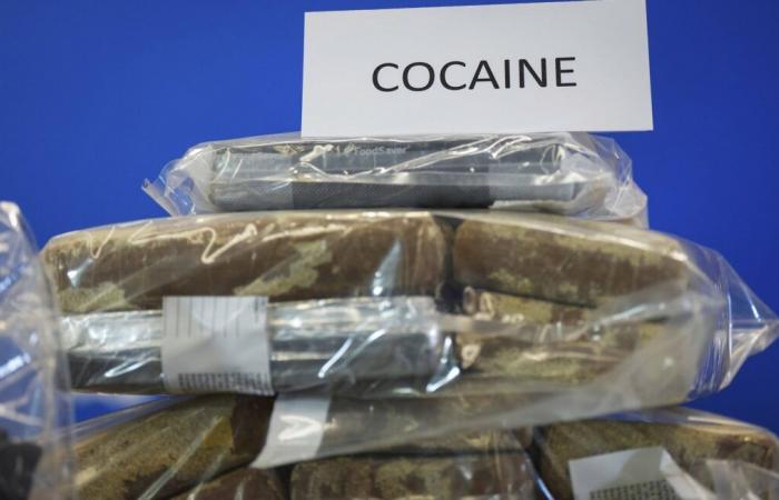 Two arrests after the seizure of more than 2 tonnes of cocaine at the port of Le Havre