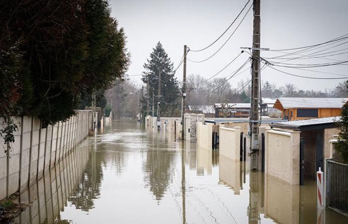 Soon climate migration in Seine-et-Marne?