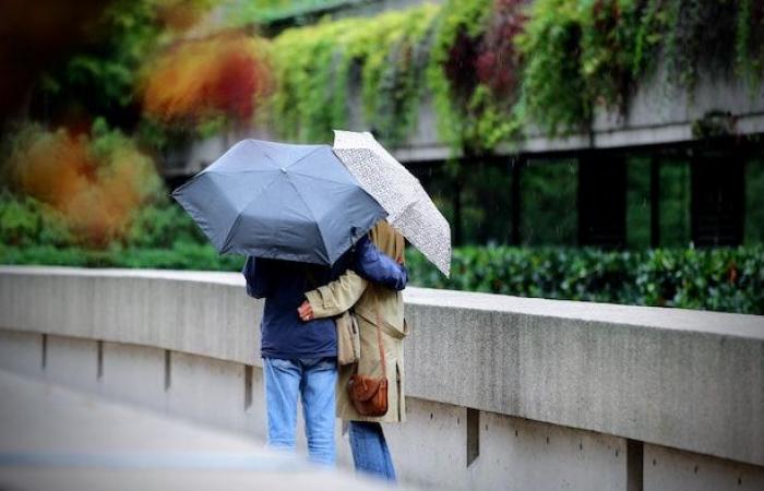 Vancouver experienced its wettest year since the turn of the century