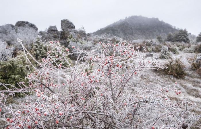 How does freezing rain form? 04/01/2025