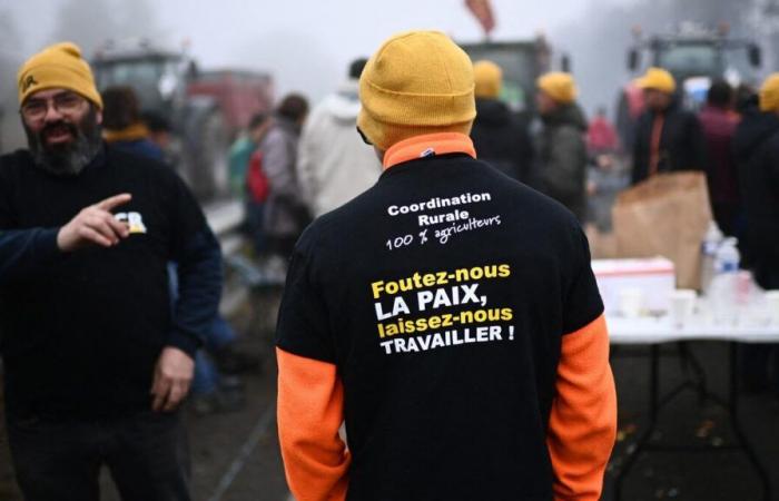 Anger of farmers: the authorities ban “any undeclared gathering” in the center of Paris and Rungis this Sunday