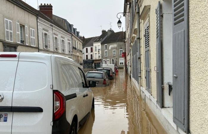 Floods, a Briard at the Paralympic Games… What made the news in 2024 in La Ferté-Gaucher