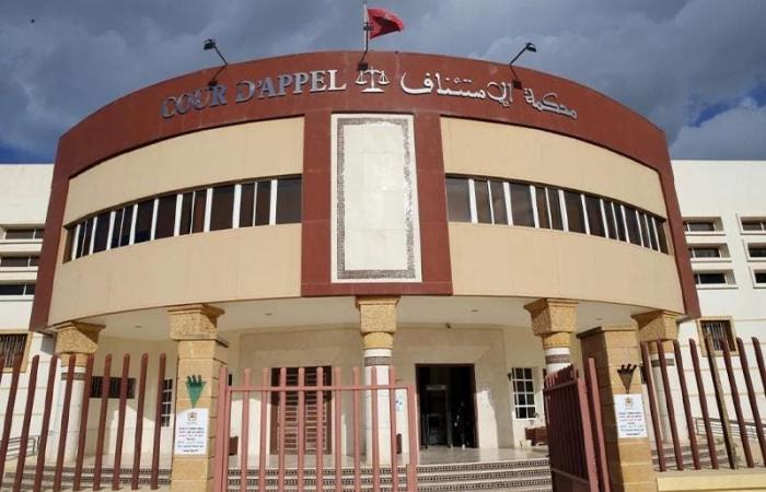 Nador court sentences defendant to ten years in prison for serious charges