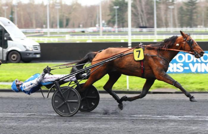 PMU – Arrival of the quinté on Sunday January 5 in Vincennes: Jack Tonic ensures