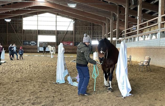 A female duo organizes equestrian games in Tramelan