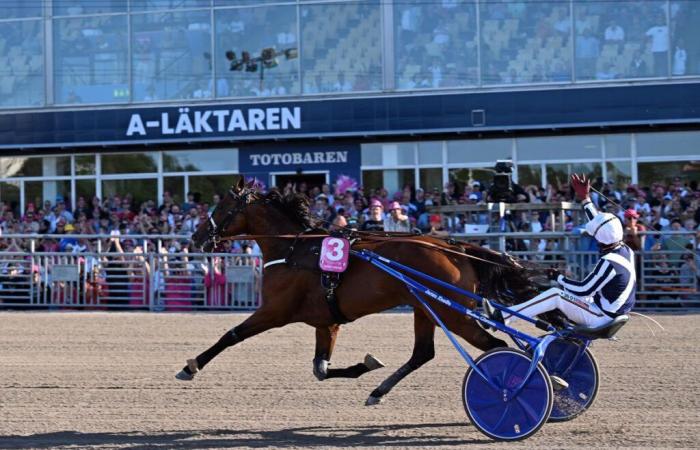 Those trained in France having made their mark on international trotting in 2024