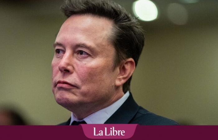 Musk’s support for the hard right: American Republicans will have to “take responsibility”