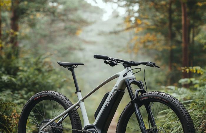 Discover the Lapierre x Alpine electric mountain bike: unique design, extreme performance and record autonomy!