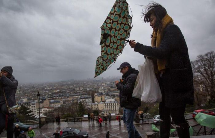 Storm Floriane: 21 departments, including those of Île-de-France, placed on orange vigilance for a risk of violent winds on Monday