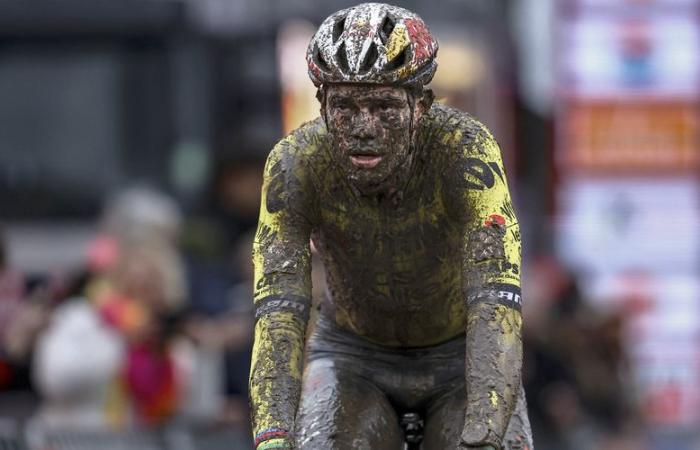 IN PICTURES. Cycling: impressive victory for Wout van Aert covered in mud, the Belgian wins cyclo-cross in difficult conditions