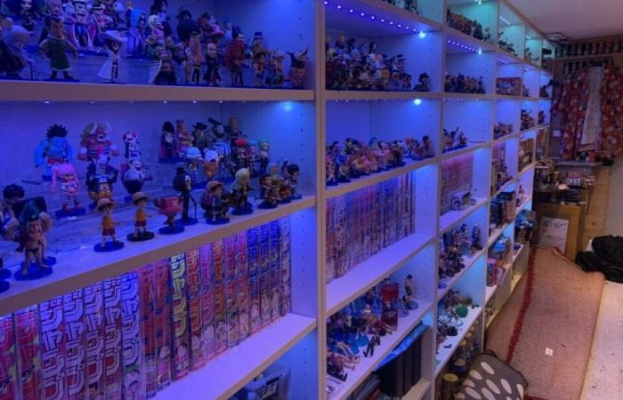 Fan of the One Piece manga, this YouTuber from Dieppe believes he is “the biggest collector in France”