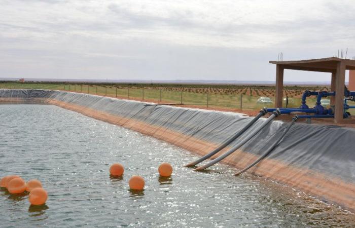 four dead in a pool of water