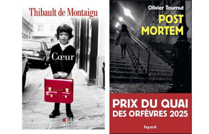 The selection for the Franceinfo 2025 Prize partly revealed, Olivier Tournut rewarded and Thibault de Montaigu recommends poetry