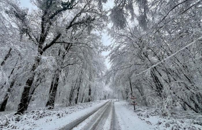 Northern lights, snow, storms… These phenomena marked the weather of the year 2024 in the Channel