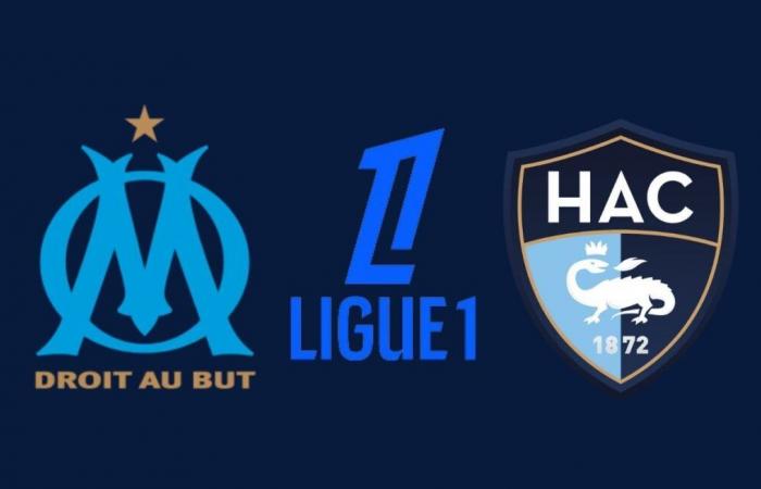 Le Havre: At what time and on which channel to watch the match this Sunday?