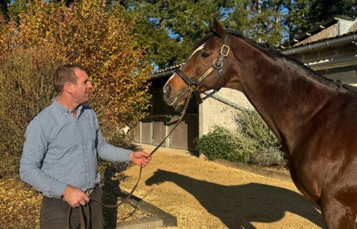 Christian de L’Hermite Prize: Lucky Nonantais, and Bande’s first black type obstacle success