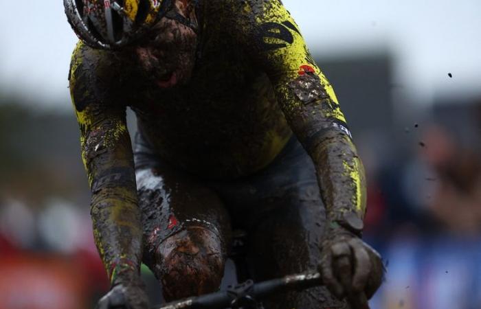 IN PICTURES. Cycling: impressive victory for Wout van Aert covered in mud, the Belgian wins cyclo-cross in difficult conditions