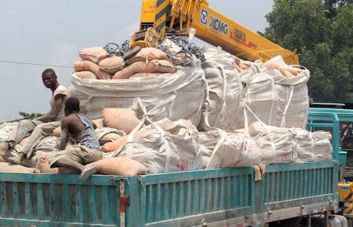 Drop in GLC cement prices in Tanganyika, FEC remains dissatisfied